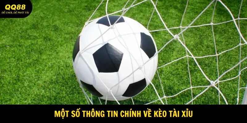 Kèo Tài Xỉu - Cách Đọc Dễ Hiểu Dành Cho Người Mới 1 mot-so-thong-tin-chinh-ve-keo-tai-xiu